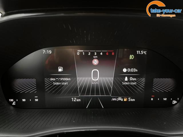 Skoda - Fabia - EU-Neuwagen - Reimport