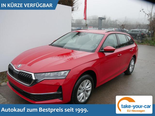 Skoda Octavia Combi - Selection 2.0 TDI DSG Selection*LED*PDC*SHZ*TEMPOMAT*SMARTLINK*KLIMA* Vorlauffahrzeug