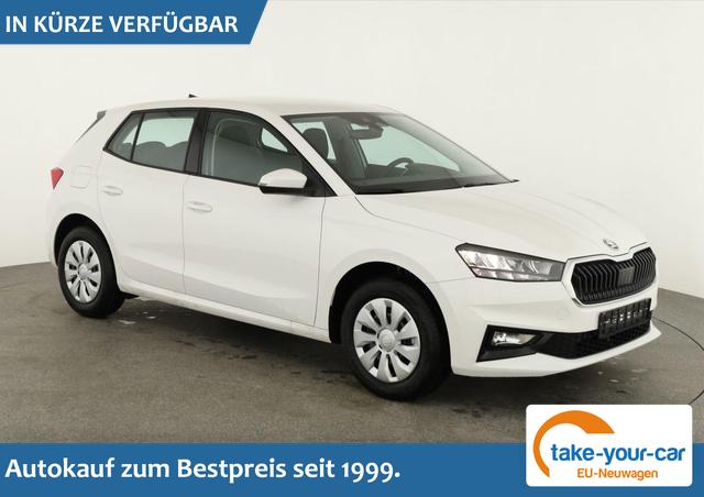 Skoda Fabia - Selection 1.0 TSI Selection, Ladeboden, Park, Winterpaket, SmartLink, 4-J Garantie Vorlauffahrzeug