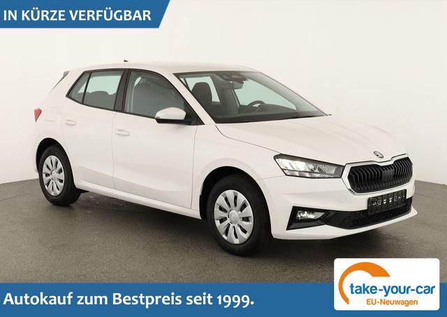 Skoda Fabia - Selection 1.0 TSI Selection, Ladeboden, Park, Winterpaket, SmartLink, 4 J.-Garantie Vorlauffahrzeug