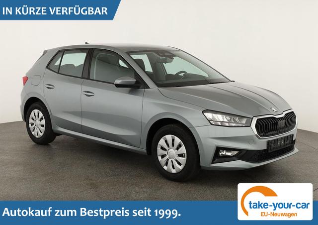 Skoda Fabia - Selection 1.0 TSI Selection, Tempomat, Ladeboden, Park, Winterpaket, SmartLink, 4-J Garantie Vorlauffahrzeug