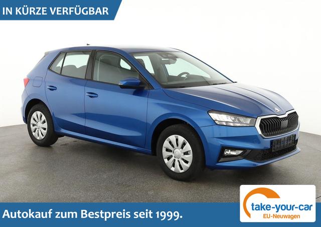Skoda Fabia - Selection 1.0 TSI Selection, Park, SmartLink, 4 J.-Garantie Vorlauffahrzeug