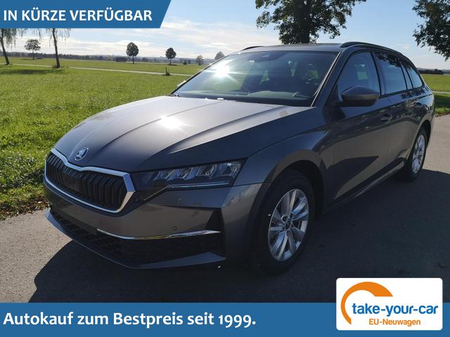 Skoda Octavia Combi - 2.0 TDI 110 kW Selection Kombi DSG Navi PDC GV5 el. Hk Vorlauffahrzeug