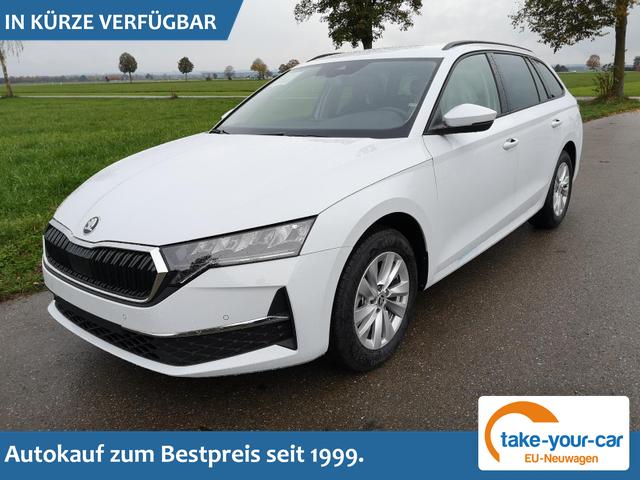 Skoda Octavia Combi - 2.0 TDI 110 kW Selection Kombi DSG Navi PDC GV5 el. Hk Vorlauffahrzeug