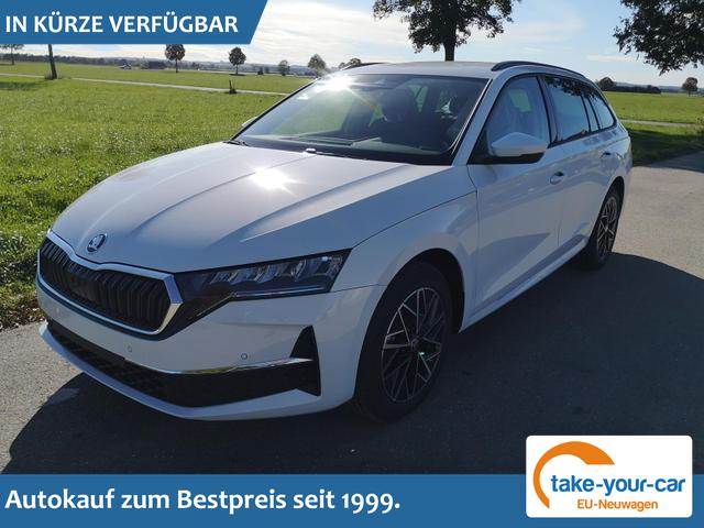 Skoda Octavia Combi - 2.0 TDI 110 kW Selection Kombi DSG Pano 17 Lodge Navi PDC GV5 el. Hk Vorlauffahrzeug