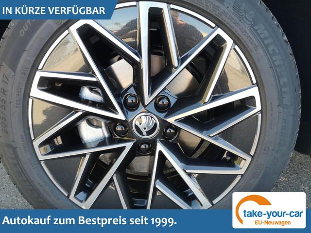 Skoda Octavia Combi - 2.0 TDI 110 kW Selection Kombi DSG 17 Lodge Navi PDC GV5 el. Hk Vorlauffahrzeug