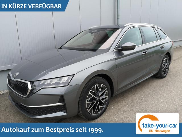 Skoda Octavia Combi - 1.5 TSI mHEV 110 kW Selection Kombi DSG AHK ACC Kamera Sunset Vorlauffahrzeug