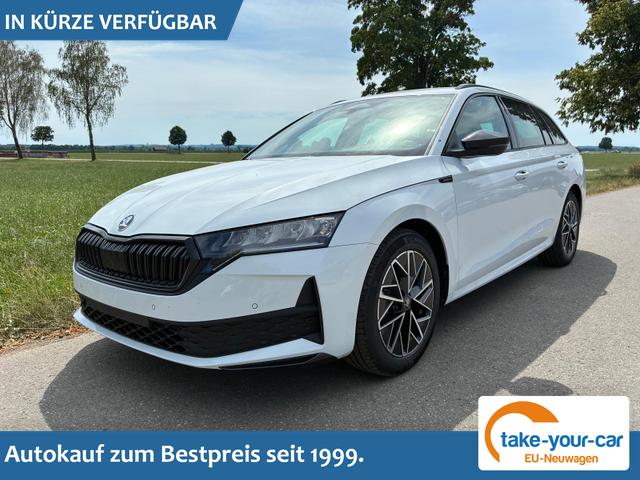 Skoda Octavia Combi - 2.0 TDI 110 kW Sportline Kombi AHK GV5 ACC Vorlauffahrzeug