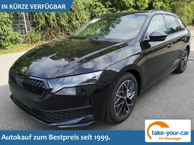 Skoda Octavia Combi - 1.5 TSI mHEV 110 kW Sportline Kombi AHK GV5 ACC Vorlauffahrzeug