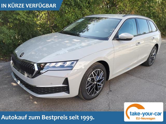 Skoda Octavia Combi - 2.0 TDI 110 kW Selection Kombi DSG Pano 17 Lodge Navi PDC GV5 el. Hk Vorlauffahrzeug