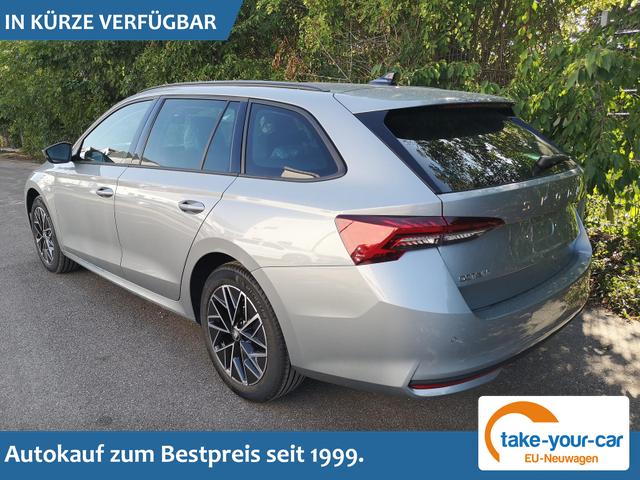 Skoda Octavia Combi - 2.0 TDI 110 kW Selection Kombi DSG 17 Lodge Navi PDC GV5 el. Hk Vorlauffahrzeug