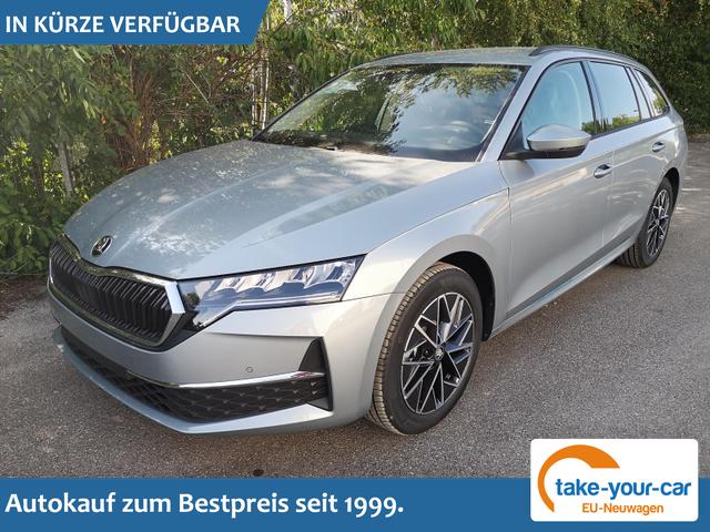 Skoda Octavia Combi - 2.0 TDI 110 kW Selection Kombi DSG 17 Lodge Navi PDC GV5 el. Hk Vorlauffahrzeug