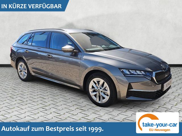 Skoda Octavia Combi - 1.5 TSI mHEV 110 kW Selection eTSI DSG / AHK schw. Vorlauffahrzeug