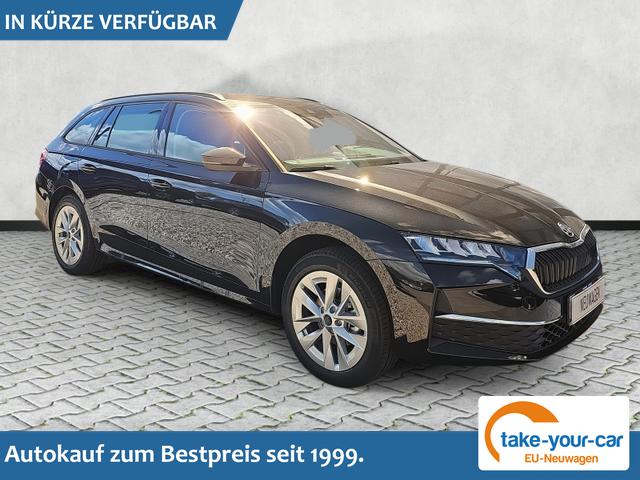 Skoda Octavia Combi - 1.5 TSI mHEV 110 kW Selection eTSI DSG / AHK schw. Vorlauffahrzeug