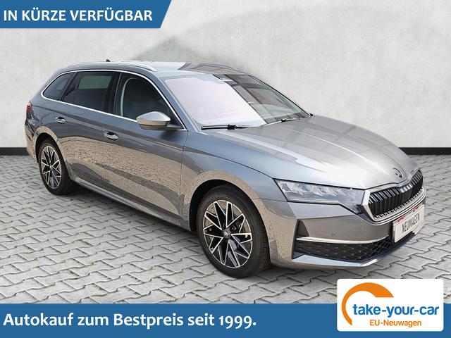 Skoda Octavia Combi - 2.0 TDI 110 kW Selection DSG ACC Navi AHK Vorlauffahrzeug