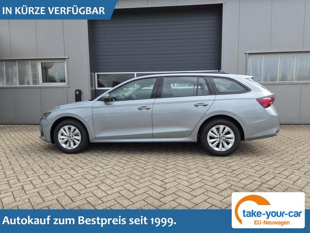 Skoda Octavia Combi - 1.5 TSI 150PS m-HEV DSG Selection AHK Klimaautomatik ACC PDC v+h R&uuml;ckf.Kamera Sitzheizung TWA Apple CarPlay Android Auto 16"LM Vorlauffahrzeug
