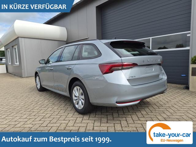 Skoda Octavia Combi - 1.5 TSI 150PS m-HEV DSG Selection AHK Klimaautomatik ACC PDC v+h R&uuml;ckf.Kamera Sitzheizung TWA Apple CarPlay Android Auto 16"LM Vorlauffahrzeug