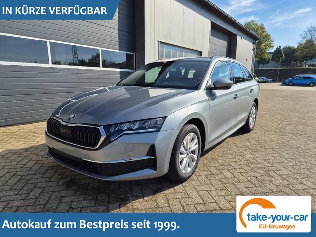 Skoda Octavia Combi - 1.5 TSI 150PS m-HEV DSG Selection AHK Klimaautomatik PDC v+h R&uuml;ckf.Kamera Sitzheizung Apple CarPlay Android Auto 16"LM Vorlauffahrzeug