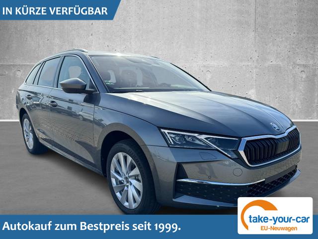 Skoda Octavia Combi - Selection 2.0 TDI 150PS/110kW DSG7 2026 +AHK+EL. STZ+LODGE+SUNSET+3ZONE+SHZ Vorlauffahrzeug