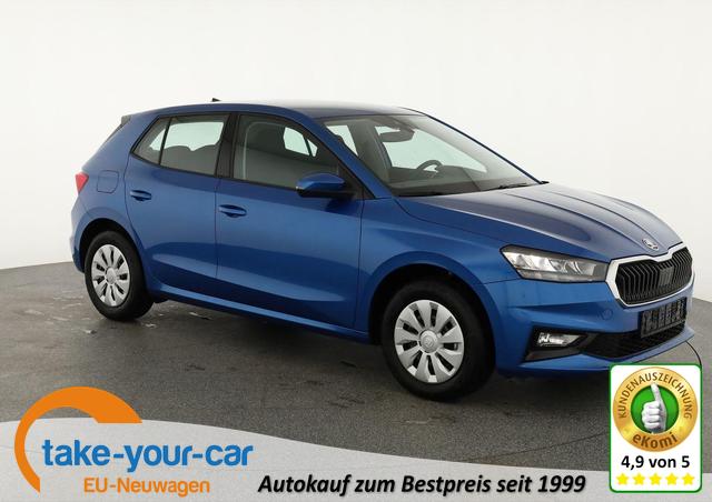 Skoda Fabia - Selection 1.0 TSI Selection, Ladeboden, Park, Winterpaket, SmartLink, 4-J Garantie Vorlauffahrzeug