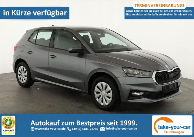 Skoda Fabia - Selection 1.0 TSI Selection, Ladeboden, Park, Winterpaket, SmartLink, 4-J Garantie Vorlauffahrzeug