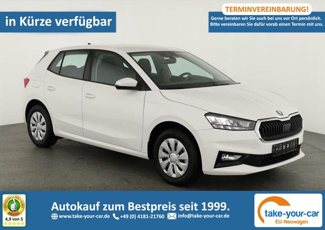 Skoda Fabia - Selection 1.0 TSI Selection, Tempomat, Park, Winterpaket, SmartLink, 4-J Garantie Vorlauffahrzeug