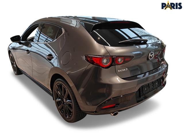 Beispielbilder, ggf. teilweise mit Sonderausstattung