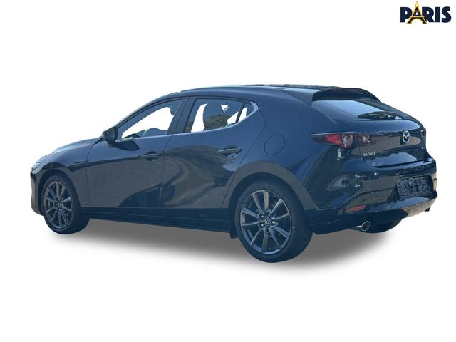 Beispielbilder, ggf. teilweise mit Sonderausstattung