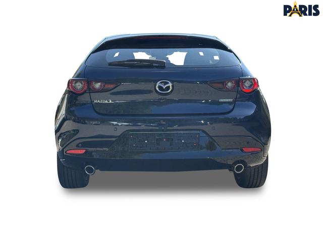 Beispielbilder, ggf. teilweise mit Sonderausstattung