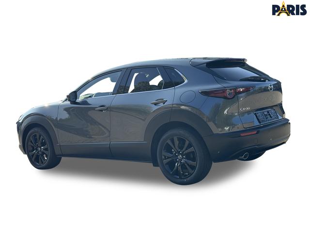 Mazda CX-30 Nagisa LEDER+BOSE+HUD+NAVI+SHZ+KAMERA+LED+18" 