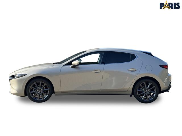 Beispielbilder, ggf. teilweise mit Sonderausstattung