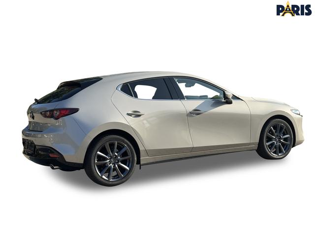 Beispielbilder, ggf. teilweise mit Sonderausstattung