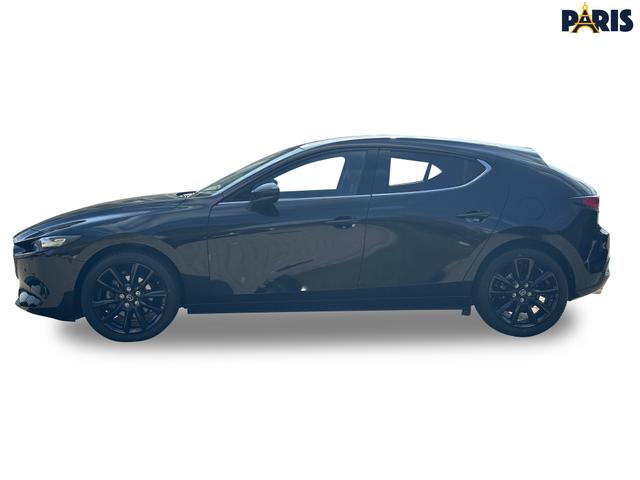 Beispielbilder, ggf. teilweise mit Sonderausstattung