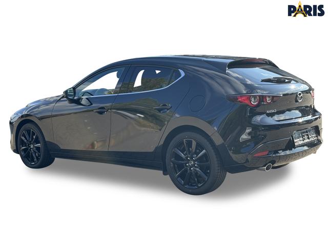 Beispielbilder, ggf. teilweise mit Sonderausstattung