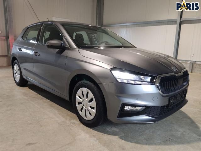 Skoda / Fabia / Grau / / / , Beispielbilder, ggf. teilweise mit Sonderausstattung