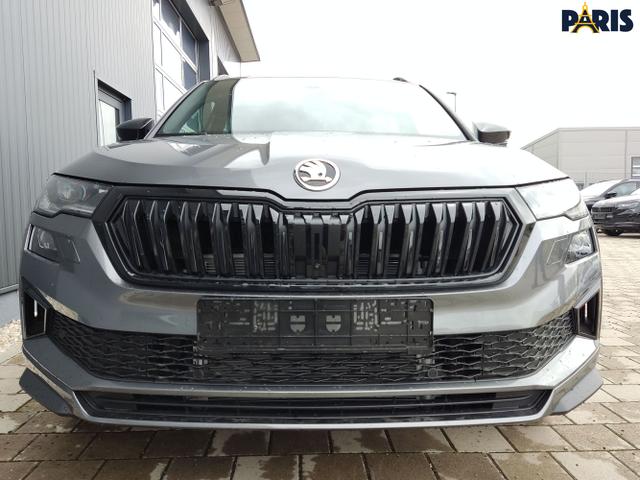 Skoda / Karoq / Grau / / / , Beispielbilder, ggf. teilweise mit Sonderausstattung