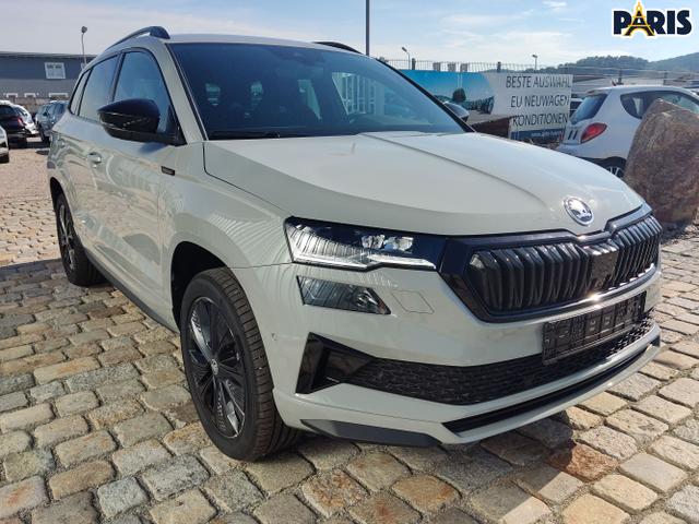 Skoda / Karoq / Grau / / / , Beispielbilder, ggf. teilweise mit Sonderausstattung