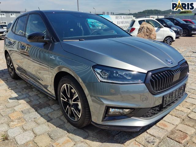 Skoda / Fabia / Grau / / / , Beispielbilder, ggf. teilweise mit Sonderausstattung