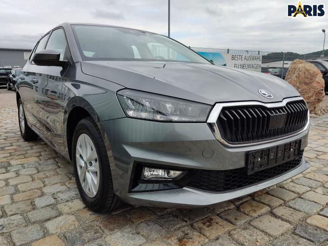 Skoda / Fabia / Grau / / / , Beispielbilder, ggf. teilweise mit Sonderausstattung