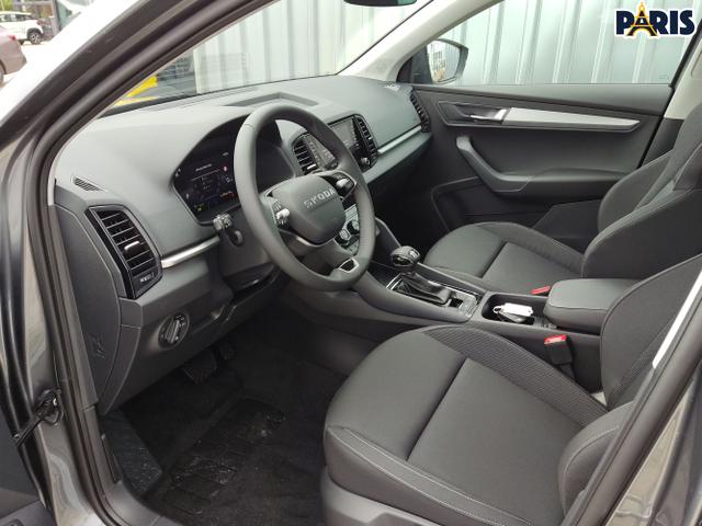 Skoda / Karoq / Grau / / / , Beispielbilder, ggf. teilweise mit Sonderausstattung