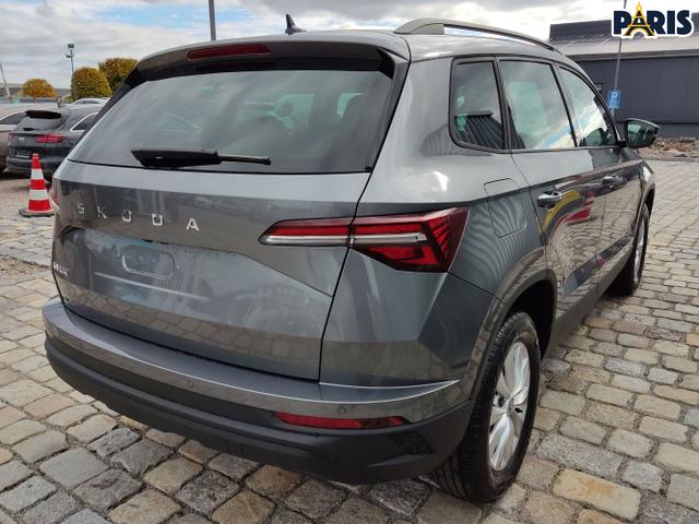 Skoda / Karoq / Grau / / / , Beispielbilder, ggf. teilweise mit Sonderausstattung