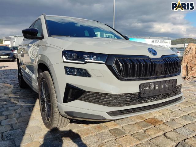 Skoda / Karoq / Grau / / / , Beispielbilder, ggf. teilweise mit Sonderausstattung