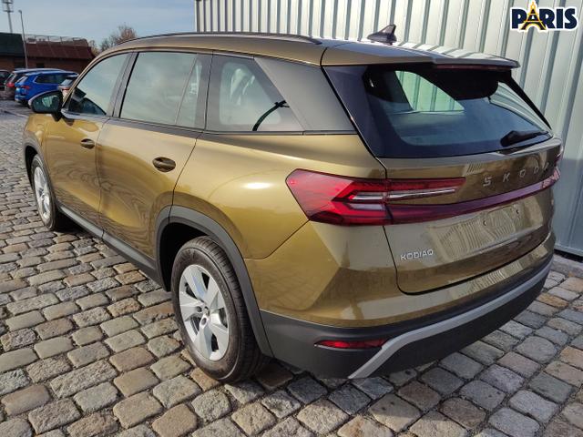 Skoda / Kodiaq / Bronze / / / 