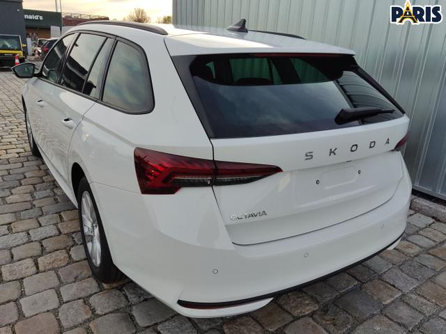 Skoda / Octavia Combi / Weiß / / / , Beispielbilder, ggf. teilweise mit Sonderausstattung