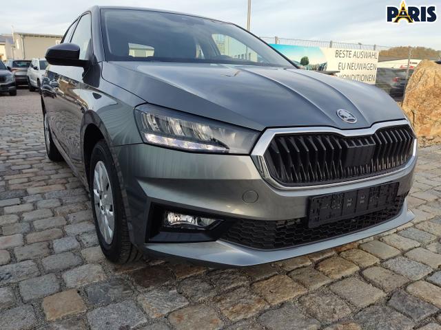 Skoda / Fabia / Grau / / / , Beispielbilder, ggf. teilweise mit Sonderausstattung