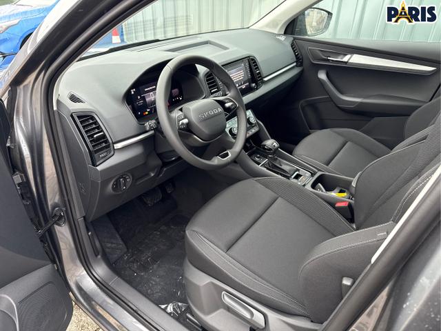 Skoda / Karoq / Grau / / / , Beispielbilder, ggf. teilweise mit Sonderausstattung