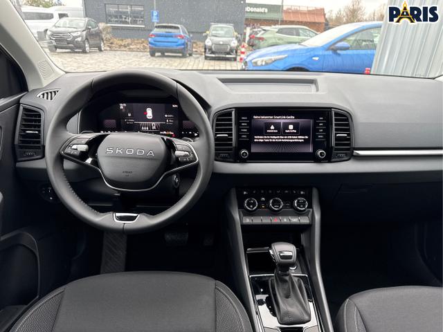 Skoda / Karoq / Grau / / / , Beispielbilder, ggf. teilweise mit Sonderausstattung