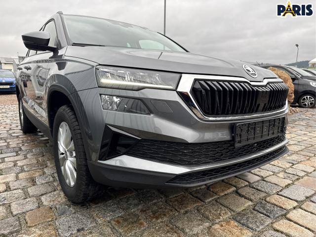 Skoda / Karoq / Grau / / / , Beispielbilder, ggf. teilweise mit Sonderausstattung