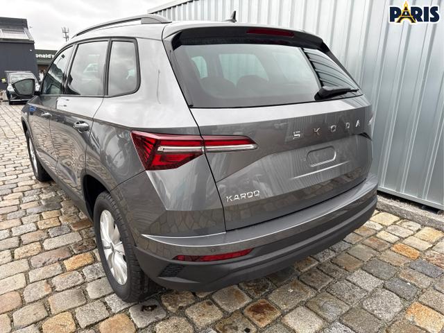 Skoda / Karoq / Grau / / / , Beispielbilder, ggf. teilweise mit Sonderausstattung