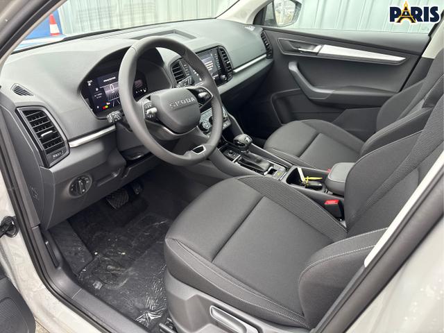 Skoda / Karoq / Grau / / / , Beispielbilder, ggf. teilweise mit Sonderausstattung